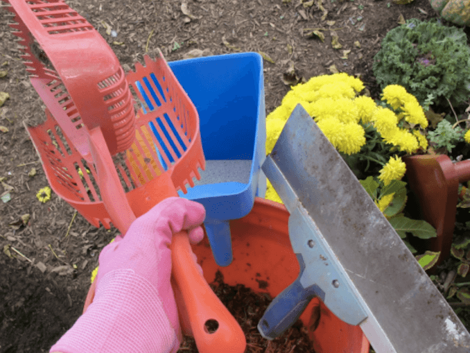 Chicken Coop Tips The Chicken Maven
