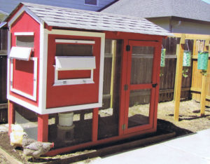 How to build a chicken coop